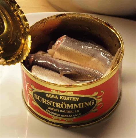 smelliest fish in the world|What is Surströmming and how to eat this smelly fish